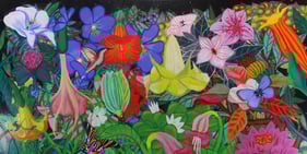 Opening Reception / Meet the Artist: Ecorhizome Stories