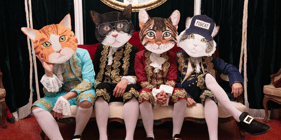 Fantastic Cat