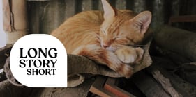 Long Story Short: Comfort Zone