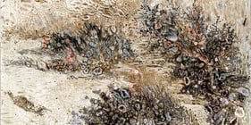 Opening Reception / Meet the Artist: Light, Shadow, and Memory