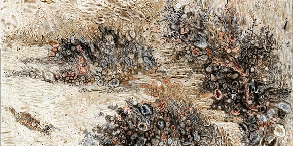 Opening Reception / Meet the Artist: Light, Shadow, and Memory