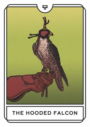 OracleCard_HoodedFalcon-1