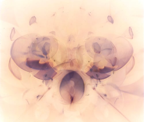 Sequential Symmetry Sequential Symmetry