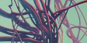 The Vines
