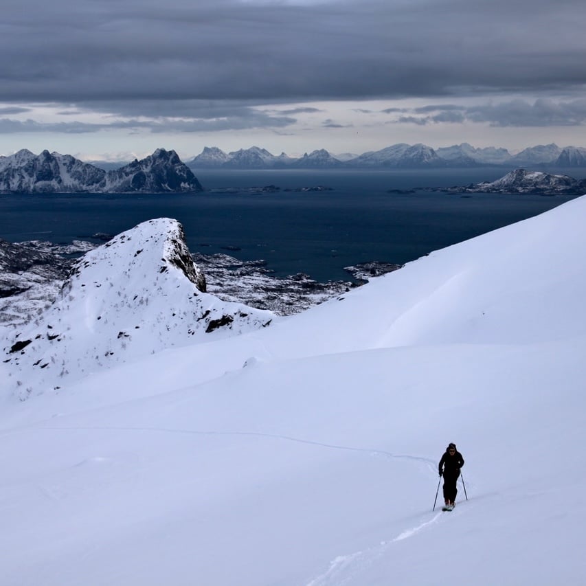 harrioson buck harrioson buck